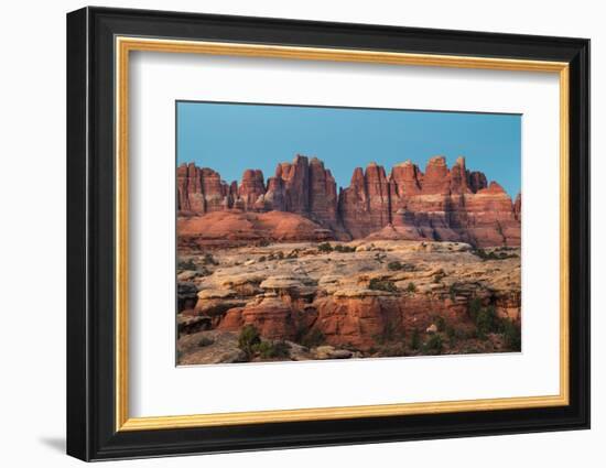 The Needles Canyonlands National Park-Alan Majchrowicz-Framed Photographic Print