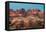 The Needles Canyonlands National Park-Alan Majchrowicz-Framed Premier Image Canvas