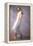 The Negligee-John Asaro-Framed Premier Image Canvas