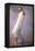 The Negligee-John Asaro-Framed Premier Image Canvas