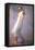 The Negligee-John Asaro-Framed Premier Image Canvas