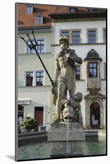 The Neptune Fountain on the Cobbled Market Place (Marktplatz) in Weimar, Thuringia, Germany, Europe-Stuart Forster-Mounted Photographic Print