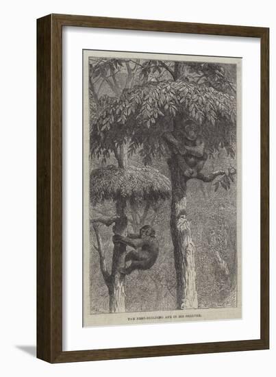 The Nest-Building Ape in His Shelter-Joseph Wolf-Framed Giclee Print