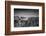 The Netherlands, Frisia, Terschelling, Dunes, Beach, Sea-Ingo Boelter-Framed Photographic Print