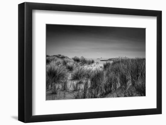 The Netherlands, Frisia, Terschelling, Dunes, Beach, Sea-Ingo Boelter-Framed Photographic Print