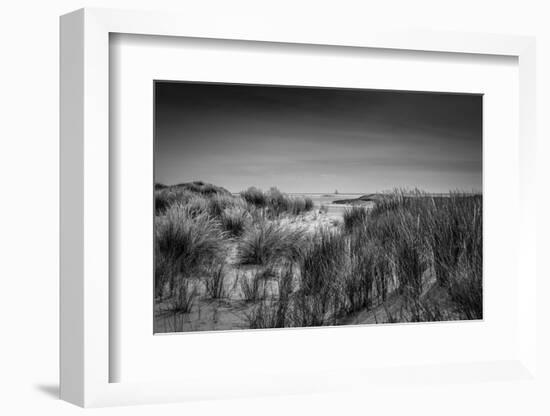 The Netherlands, Frisia, Terschelling, Dunes, Beach, Sea-Ingo Boelter-Framed Photographic Print