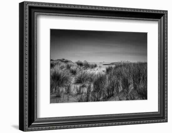 The Netherlands, Frisia, Terschelling, Dunes, Beach, Sea-Ingo Boelter-Framed Photographic Print