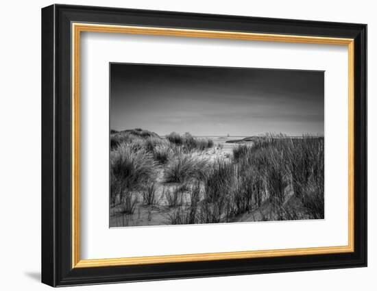 The Netherlands, Frisia, Terschelling, Dunes, Beach, Sea-Ingo Boelter-Framed Photographic Print