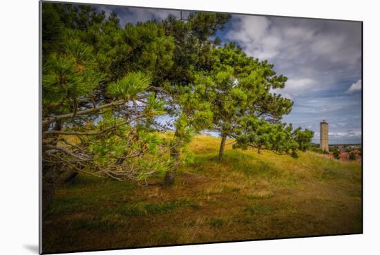 The Netherlands, Frisia, Terschelling, Lighthouse-Ingo Boelter-Mounted Photographic Print