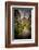 The Netherlands, Haarlem, Street, Lane-Ingo Boelter-Framed Photographic Print