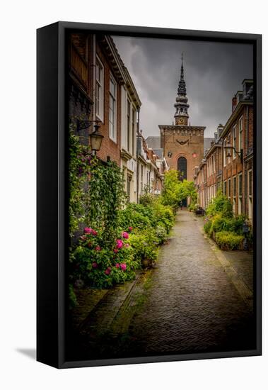 The Netherlands, Haarlem, Street, Lane-Ingo Boelter-Framed Premier Image Canvas