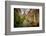 The Netherlands, Haarlem, Street, Lane-Ingo Boelter-Framed Photographic Print