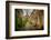 The Netherlands, Haarlem, Street, Lane-Ingo Boelter-Framed Photographic Print