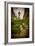 The Netherlands, Haarlem, Street, Lane-Ingo Boelter-Framed Photographic Print