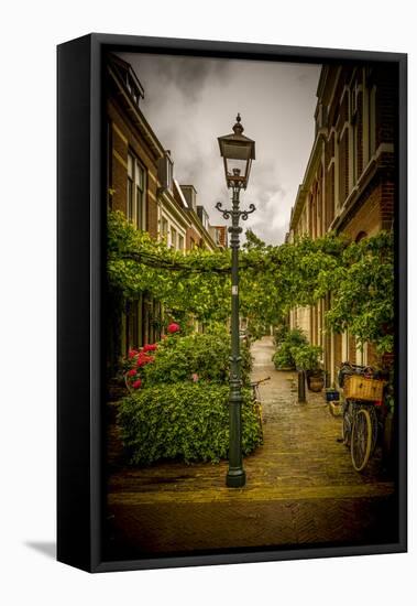 The Netherlands, Haarlem, Street, Lane-Ingo Boelter-Framed Premier Image Canvas