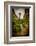 The Netherlands, Haarlem, Street, Lane-Ingo Boelter-Framed Photographic Print