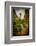 The Netherlands, Haarlem, Street, Lane-Ingo Boelter-Framed Photographic Print