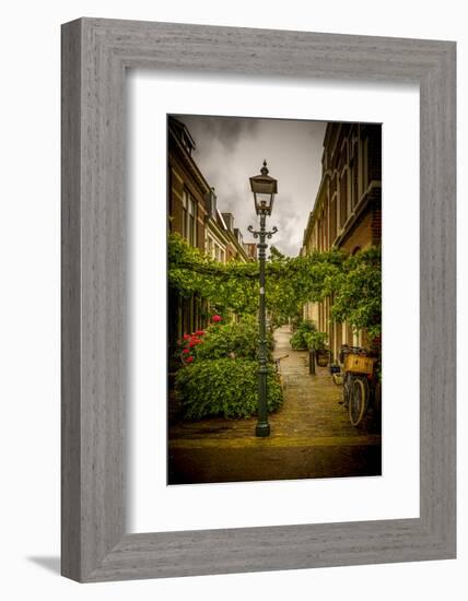 The Netherlands, Haarlem, Street, Lane-Ingo Boelter-Framed Photographic Print