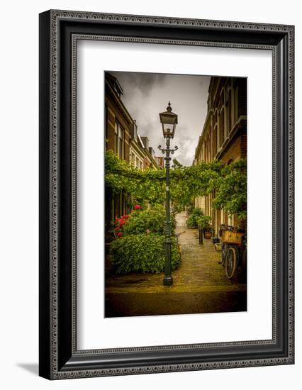 The Netherlands, Haarlem, Street, Lane-Ingo Boelter-Framed Photographic Print