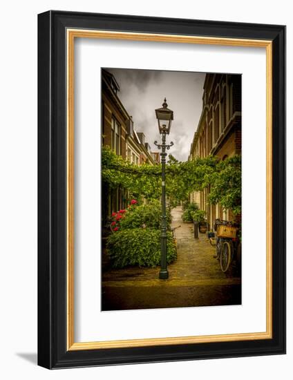 The Netherlands, Haarlem, Street, Lane-Ingo Boelter-Framed Photographic Print