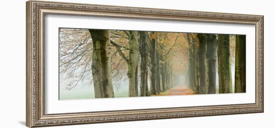 The Netherlands, 'S-Graveland, Beech Lane, Country Road, Autumn Colors-Frans Lemmens-Framed Photographic Print