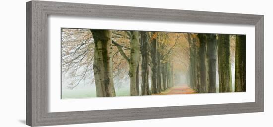 The Netherlands, 'S-Graveland, Beech Lane, Country Road, Autumn Colors-Frans Lemmens-Framed Photographic Print