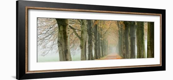 The Netherlands, 'S-Graveland, Beech Lane, Country Road, Autumn Colors-Frans Lemmens-Framed Photographic Print