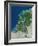 The Netherlands, Satellite Image-PLANETOBSERVER-Framed Photographic Print