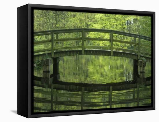 The Netherlands, the Hague, Haagse Bos, Bridge in the Municipal Park-Andreas Keil-Framed Premier Image Canvas