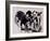 The New Calves-Brenda Brin Booker-Framed Giclee Print