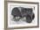 The New Case Orchard Model 'Co' Tractor-null-Framed Giclee Print