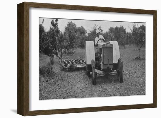 The New Case Orchard Model 'Co' Tractor-null-Framed Giclee Print