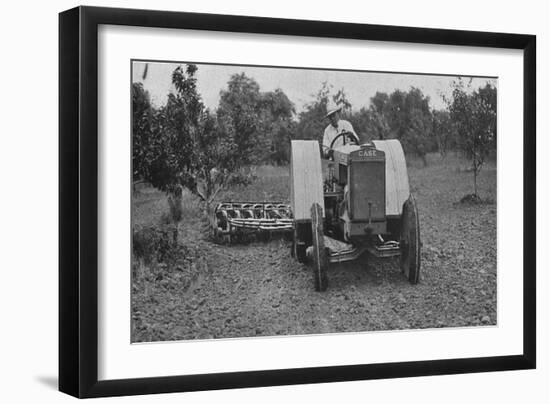 The New Case Orchard Model 'Co' Tractor-null-Framed Giclee Print