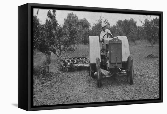 The New Case Orchard Model 'Co' Tractor-null-Framed Premier Image Canvas