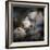 The New Dress-Shenshen Dou-Framed Photographic Print