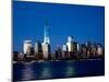 The New Freedom Tower and Lower Manhattan Skyline at Night-Gary718-Mounted Photographic Print