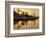 The New Marina, Cala d'Or, Majorca (Mallorca), Balearic Islands, Spain, Europe-Ruth Tomlinson-Framed Photographic Print