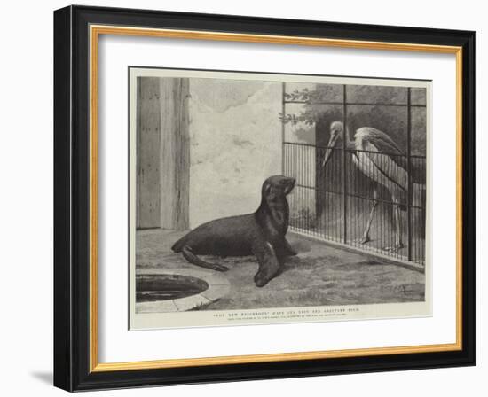 The New Neighbour, Cape Sea Lion and Adjutant Bird-Henry Stacey Marks-Framed Giclee Print