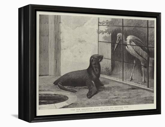 The New Neighbour, Cape Sea Lion and Adjutant Bird-Henry Stacey Marks-Framed Premier Image Canvas