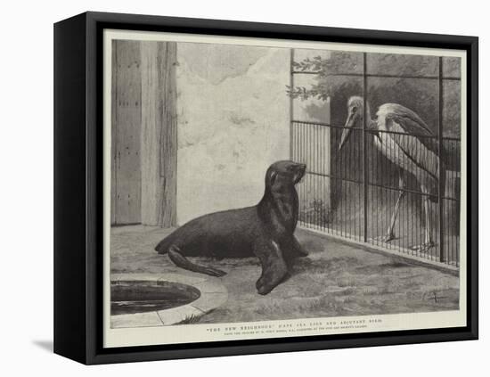 The New Neighbour, Cape Sea Lion and Adjutant Bird-Henry Stacey Marks-Framed Premier Image Canvas