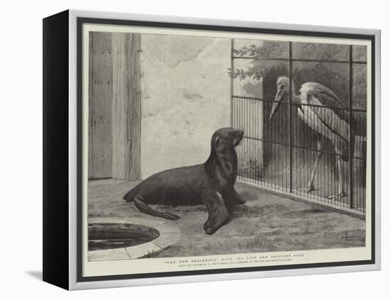 The New Neighbour, Cape Sea Lion and Adjutant Bird-Henry Stacey Marks-Framed Premier Image Canvas