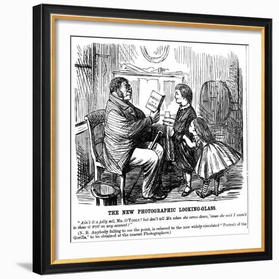 The New Photographic Looking Glass, Cartoon from Punch, Everyday Proof of Man's Origins, 1861-null-Framed Giclee Print