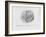 'The New Police Act', 1829-George Cruikshank-Framed Giclee Print