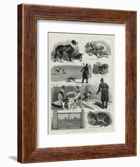 The New Police Regulations for Dogs-null-Framed Giclee Print