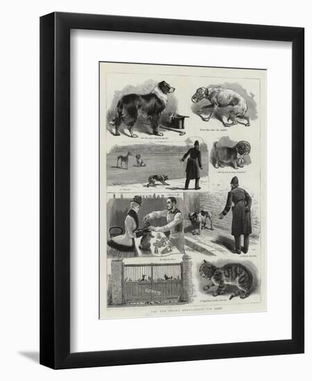 The New Police Regulations for Dogs-null-Framed Giclee Print