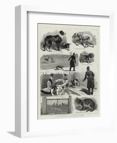 The New Police Regulations for Dogs-null-Framed Giclee Print