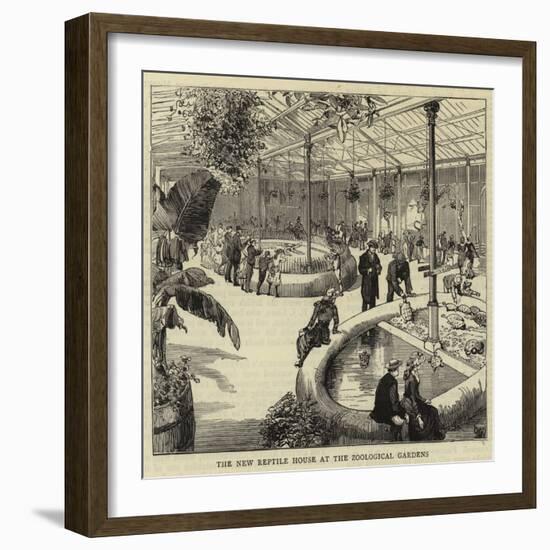 The New Reptile House at the Zoological Gardens-null-Framed Giclee Print