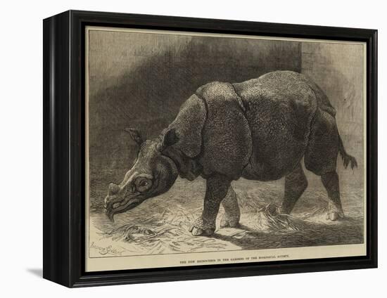 The New Rhinoceros in the Gardens of the Zoological Society-null-Framed Premier Image Canvas