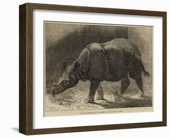 The New Rhinoceros in the Gardens of the Zoological Society-null-Framed Giclee Print