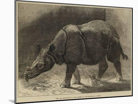 The New Rhinoceros in the Gardens of the Zoological Society-null-Mounted Giclee Print